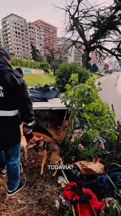 Mar del Plata, como otras ciudades del Interior, asoladas por la usurpación proveniente del Conurbano.
