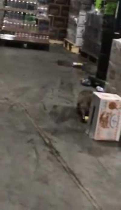 Ограбление виноводочного склада