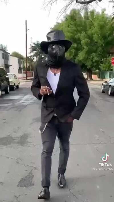 Me and the squad after single handedly making crows extinct