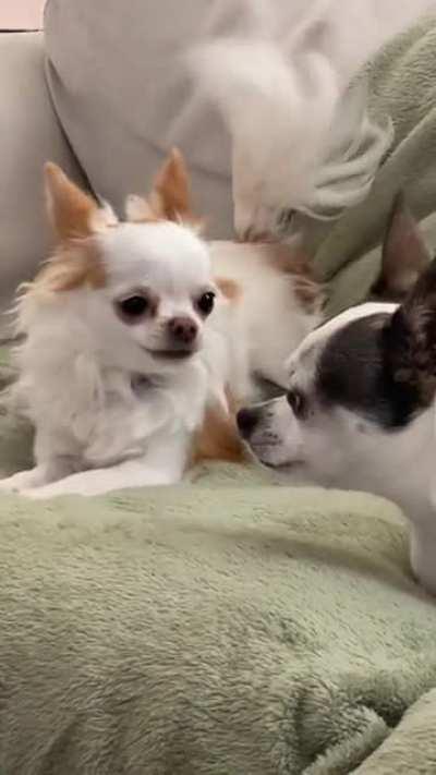 Her face says so much 😂