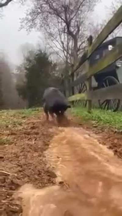 A Good Farm is Hard to Find