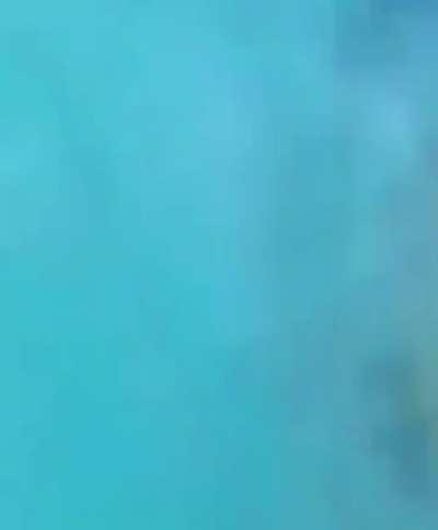 Whale, whale, whale...