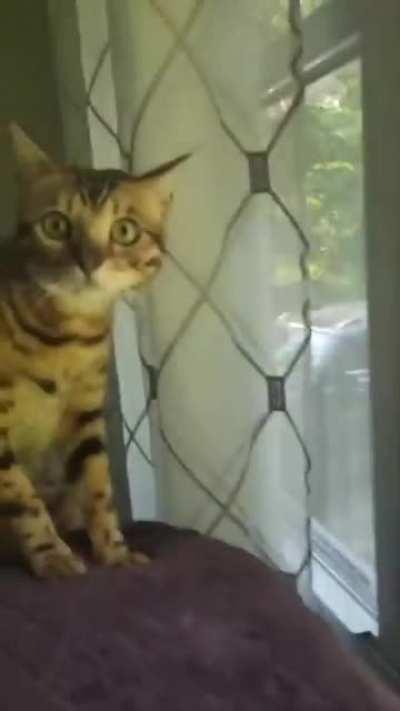 Иностранец впервые в России :)