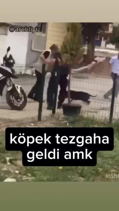 Sabah gördüğüm köpek adama saldırıyor postuna ithafen