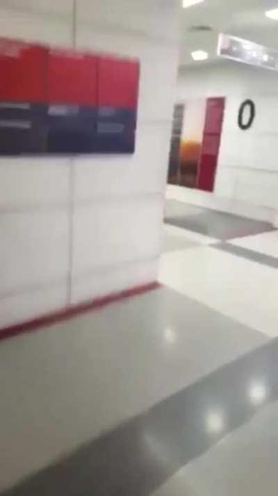 Cat catches a bat mid air