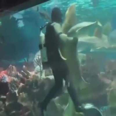 Unseen footage for Bioshock 4 (this is a Joke)