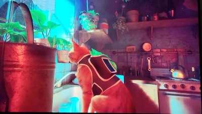 I was vibing to a gorgeous scene when...