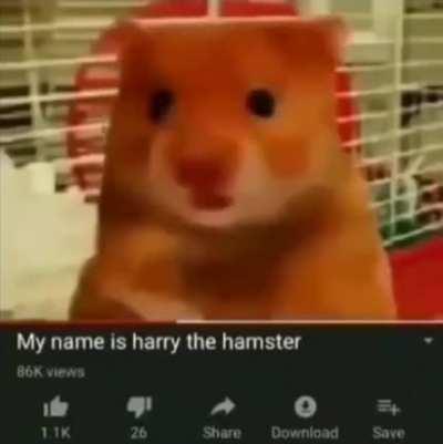 The best Vtuber debut by far!