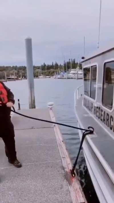 Bubba Belmont, Master of the Sea Whip