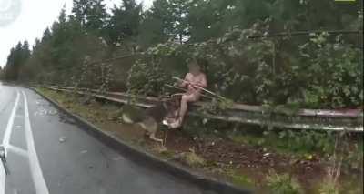 Burglary suspect shot and killed by Seattle police after fatally stabbing K9 Officer ‘Jedi’