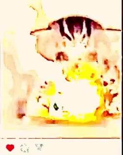 Bob Wicks drone strikes cats