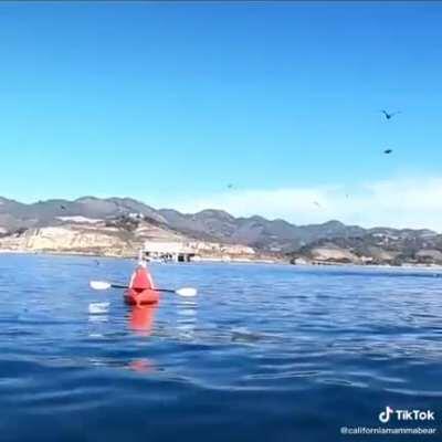 A fear I didn’t even think to have.