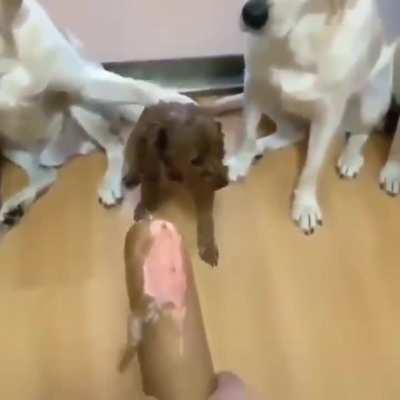 Ok.....who dunnit??!!