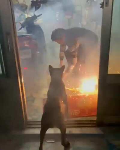 Al little funny awfuleverything i think