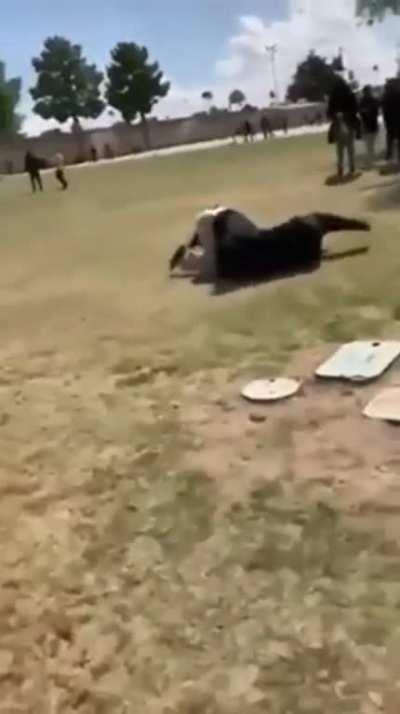 Ladies please understand that if you hit a guy for no reason ur gonna get ur ass beat