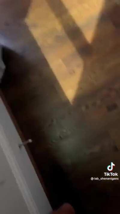 That's on Tubular Reabsorption