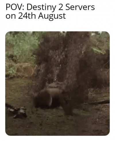 Might as well accept the inevitable...