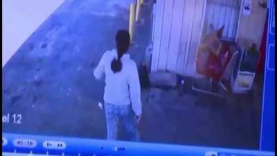 Poor kid thought he had a plan until he met her.