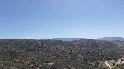 My macaw is freeflight trained. His favorite days are when it’s windy!