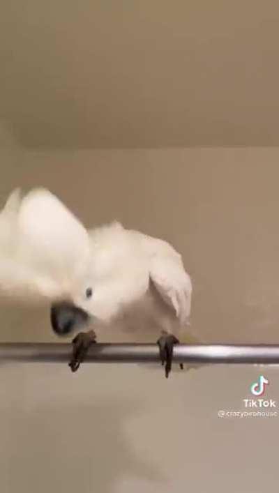 Can someone please help me get the name of this song??