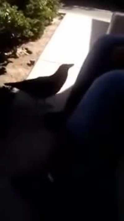 That's not wholesome:(