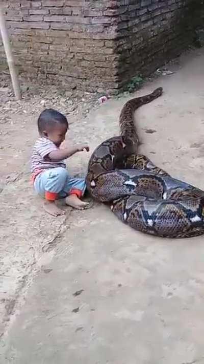 HMJB while this boy rides a snake