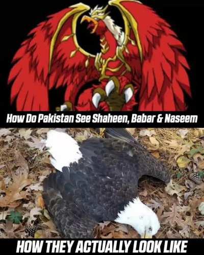 Title kuch zyada hi sar par chadh gya h