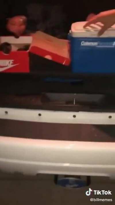 Nothing but pure chaos