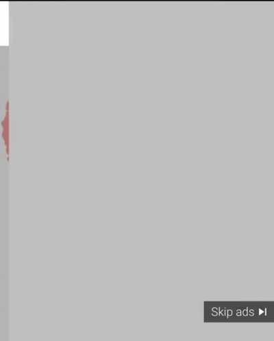 Sussy bidens America