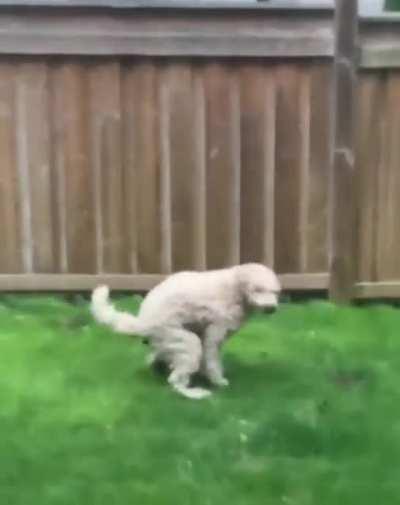 Some things can wait... Others cannot.