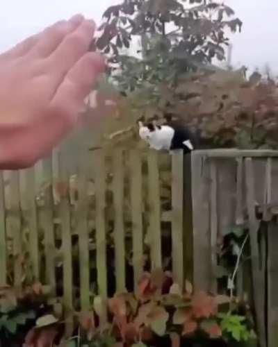 Spotted in South Western Russia close to Volgograd ie Stalingrad.