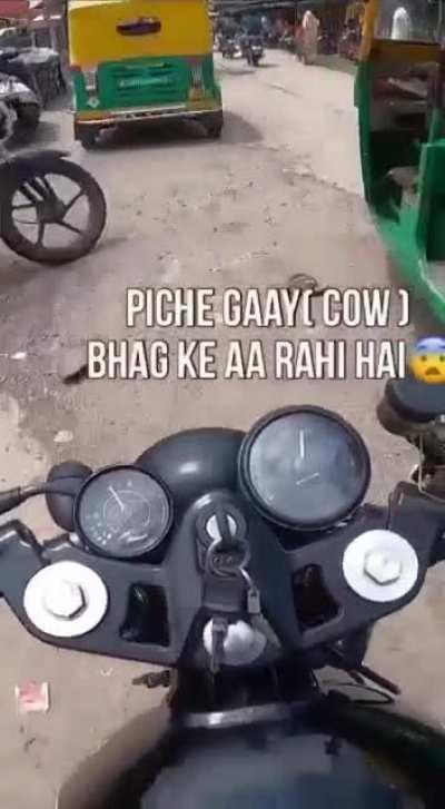 Never modding the exhaust again (Sound on)