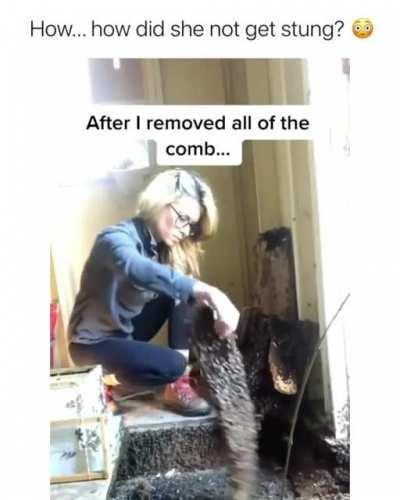 Damn when most people see 1 bee they freak out. They play an important role in our eco system. So this lady is helping big time. (: