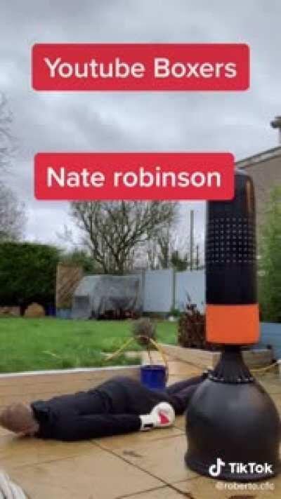 YouTube boxing styles