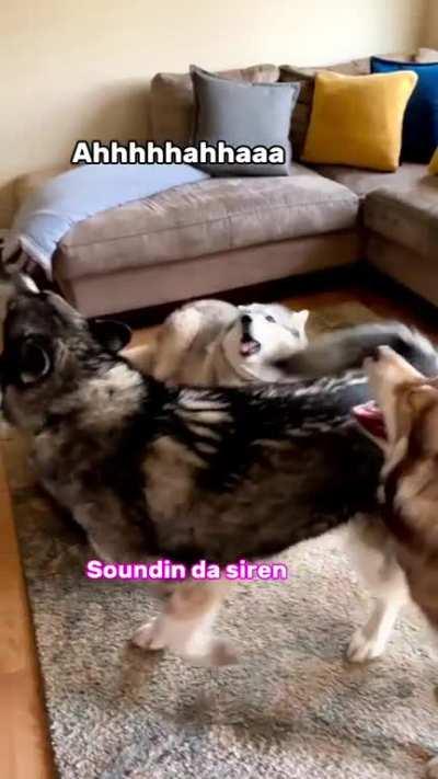 The riot is just starting 