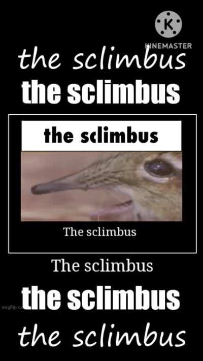 the sclimbus
