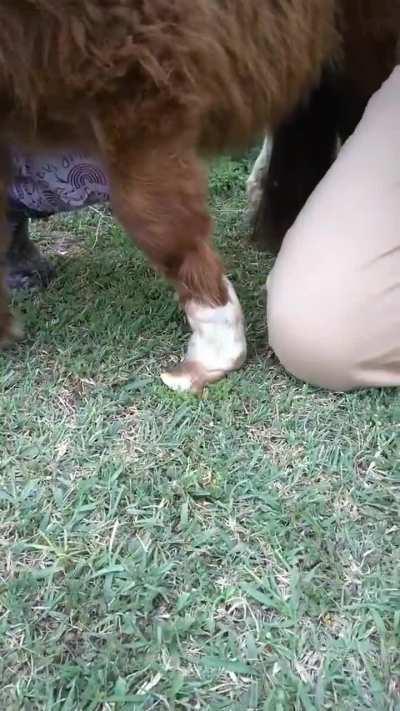 Te quiero mucho tornadito