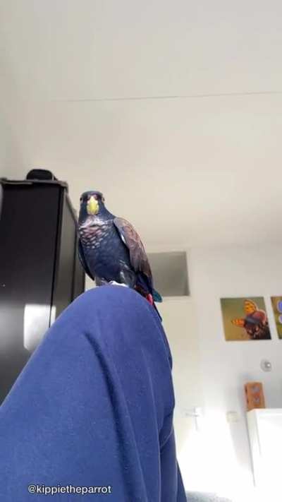 Happy Valentine’s Day from Kippie 🥰