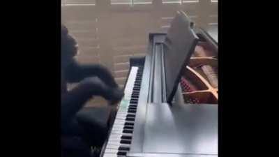 Classical/Piano