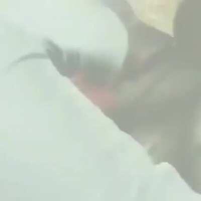 S&oacute; os cl&aacute;ssicos