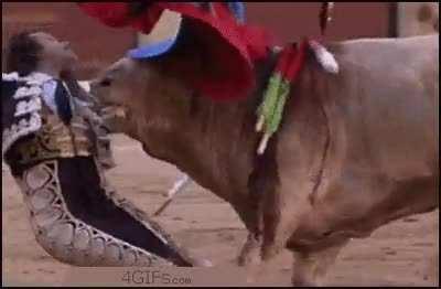 Bull fighter gets stabbed through the neck by bull