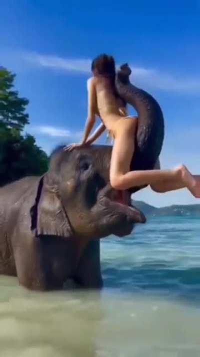 Sitting on an elephants trunk.