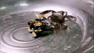 Look at this cool video i found online