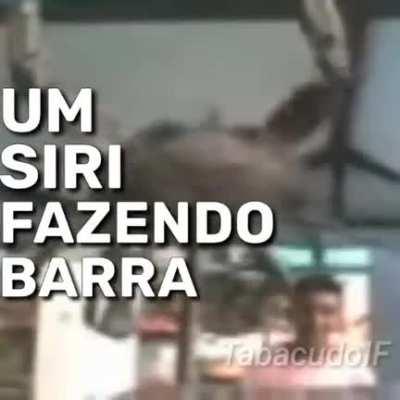 Alguem sabe o nome da musica?