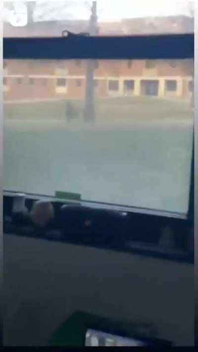 Hilarious, saw this on Natureismetal Instagram story page