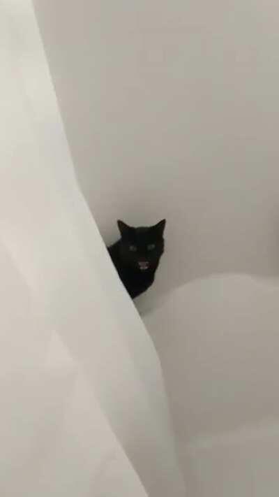 Sorry to interrupt, ma’am.