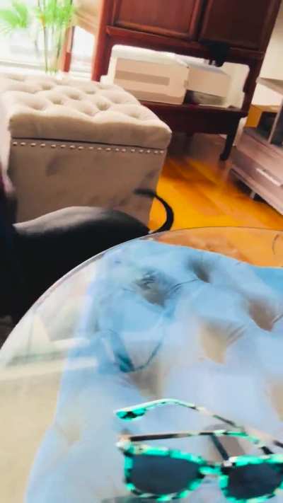 Nikko’s very own Fetch concept