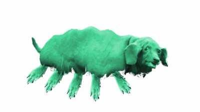 I saw this blue dog with 8 legs like an anomalocaris in a dream and he started waving (sound added for effect)