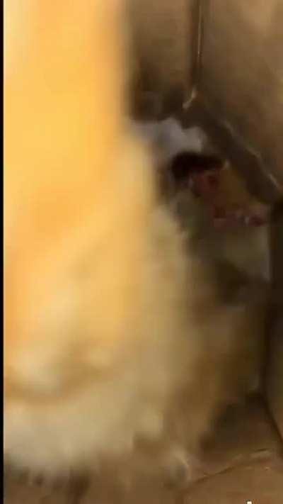 POV: Your the last Pringle in the can