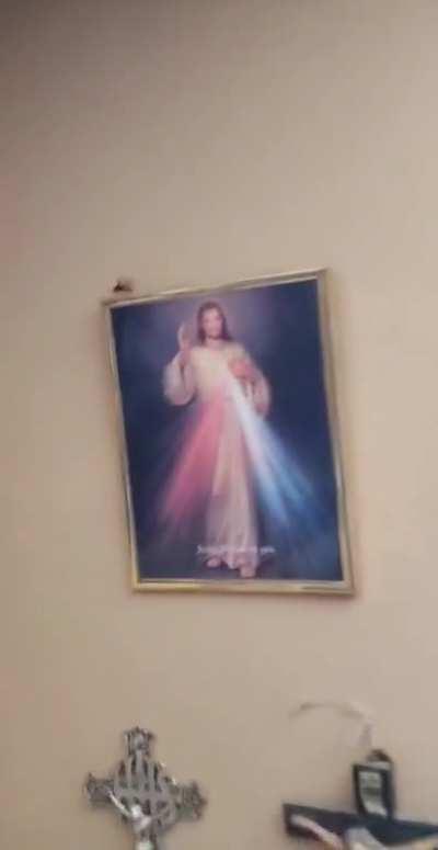 My friend found a wasp :)